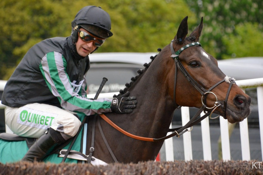 Nico de Boinville Falls