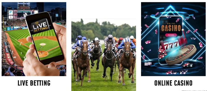 Betpanther Live Betting