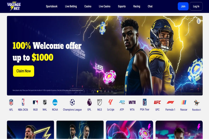 Voltage Bet Review